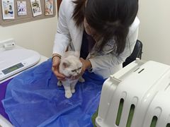 -美联众合动物医院·24h京西诊疗中心