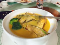 鱼头砂锅-阳澄湖费尔蒙酒店颐丰阁中餐厅(马鞍山西路店)