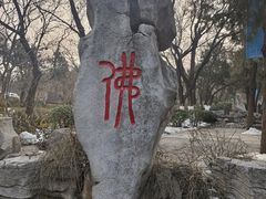 -千佛山风景名胜区