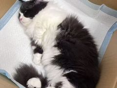 -联合动物医院(光谷诊疗中心)
