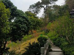 -乌山风景区