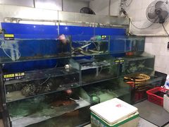 水产区-台山美食一绝阿四台山黄鳝饭(阿四创作店)