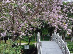 -怡海公园(桂城街道)