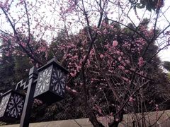 -天赐温泉