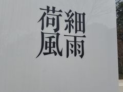 -荷风细雨·中国茶宴(碧云店)