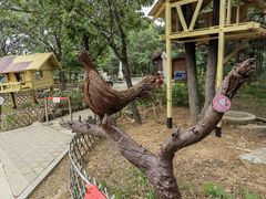 -北京西山国家森林公园