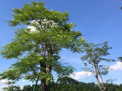 -迪茵湖田家舍生态农场