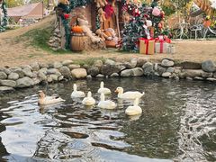 -HERRE·FARM 赫尔露营农场·团建聚会包场