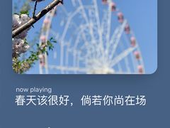 -顾村公园