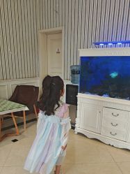-爱儿美儿童摄影(五路居花园别墅店)