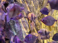 -沈阳海洋探索中心