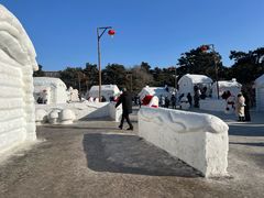 -长春市南湖公园