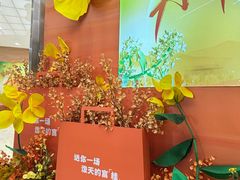 -八佰伴(人民中路店)