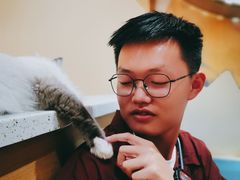 -滚猫咖啡·猫咖·猫友好撸猫(未来城店)