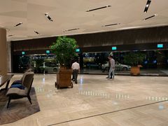 -新加坡瑞士史丹福酒店