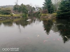 -白马涧龙池景区