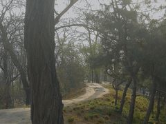 -元大都城垣遗址公园