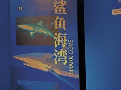 -上海海洋水族馆