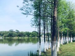 -东莞植物园