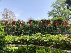 -太阳宫公园