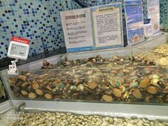 -盒马鲜生(莱蒙都会店)