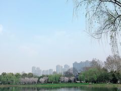 -堤角公园