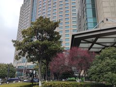 -苏州洲际酒店·大堂酒廊