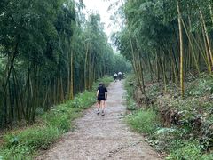 -莫干山风景区
