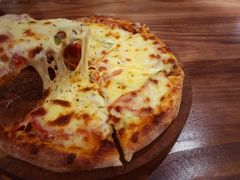 -百好乐宠物友好餐厅(朝外大街店)