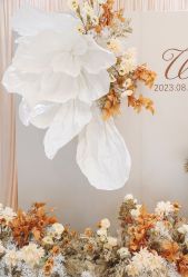 -艾米婚纱&婚礼策划