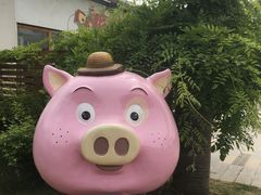 -田园东方蜜桃村的田野营地