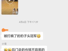 -津武堂散打搏击俱乐部(河西店)