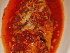 -宝轩渔府·老字号海鲜·正宗津菜(水上店)