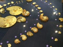 -青岛贝壳博物馆