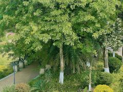 -府河摄影公园