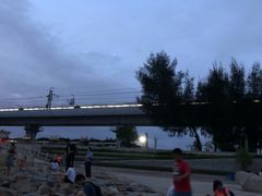 -宝安西湾红树林湿地公园