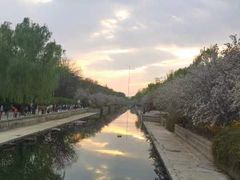 -元大都城垣遗址公园