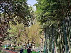 -西安市长乐公园