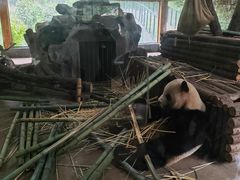 -云南野生动物园