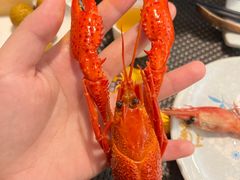 -菊上料理(蜀山银泰百货店)