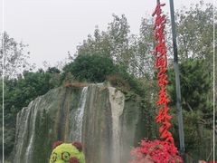 -合肥滨湖国家森林公园