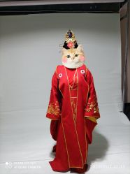 -盘子女人坊古装写真摄影(天津总店)