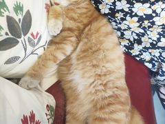 -甲乙丁書店·书茶咖·四合院