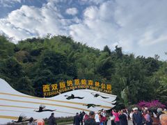 -西双版纳原始森林公园