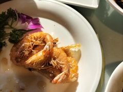 -新侨小馆(东直门北小街店)