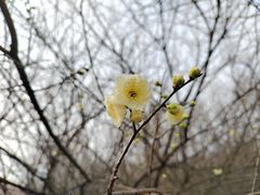 -南湖湿地公园