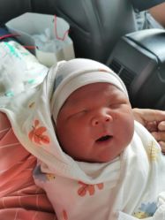 -嘉宜国际月子会所