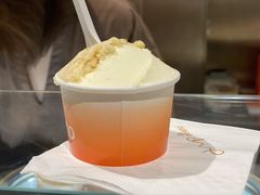 芭乐凤梨薄荷-Dip in Gelato(富民路店)