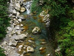 -鹿院坪生态旅游景区