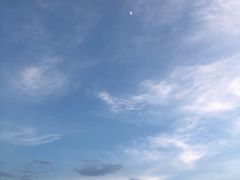 -小辣椒(华富店)